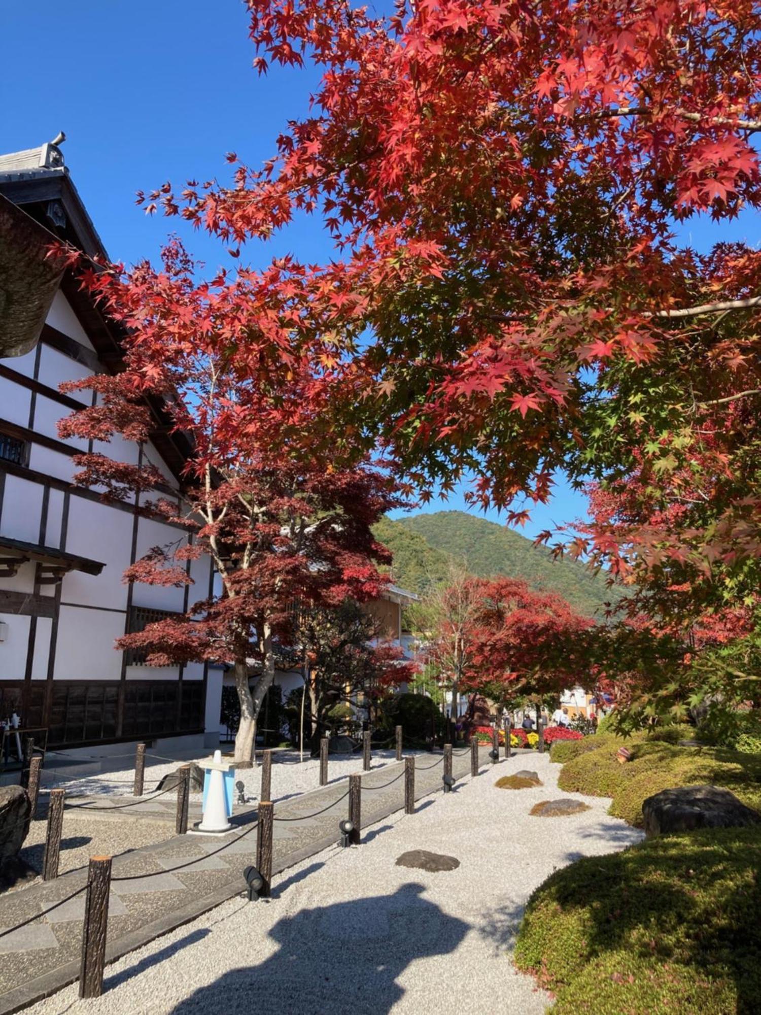 Sky Tree Inn Ⅱ（晴樹宿ⅱ） 東京都 外观 照片