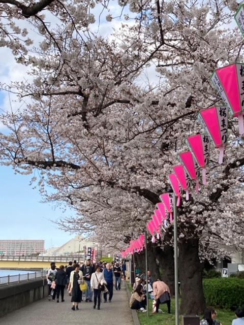 Sky Tree Inn Ⅱ（晴樹宿ⅱ） 東京都 外观 照片