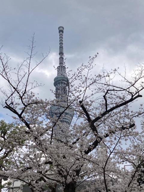 Sky Tree Inn Ⅱ（晴樹宿ⅱ） 東京都 外观 照片